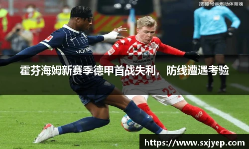 霍芬海姆新赛季德甲首战失利，防线遭遇考验