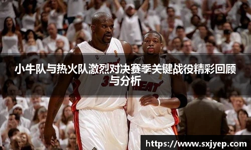 小牛队与热火队激烈对决赛季关键战役精彩回顾与分析
