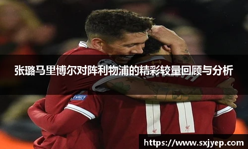 智博19有限公司